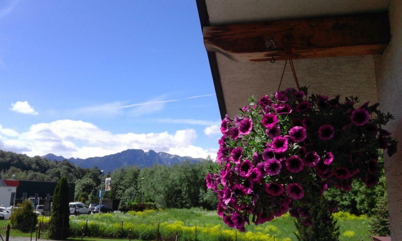 Pokoje Goscinne Agusia Zakopane Buitenkant foto